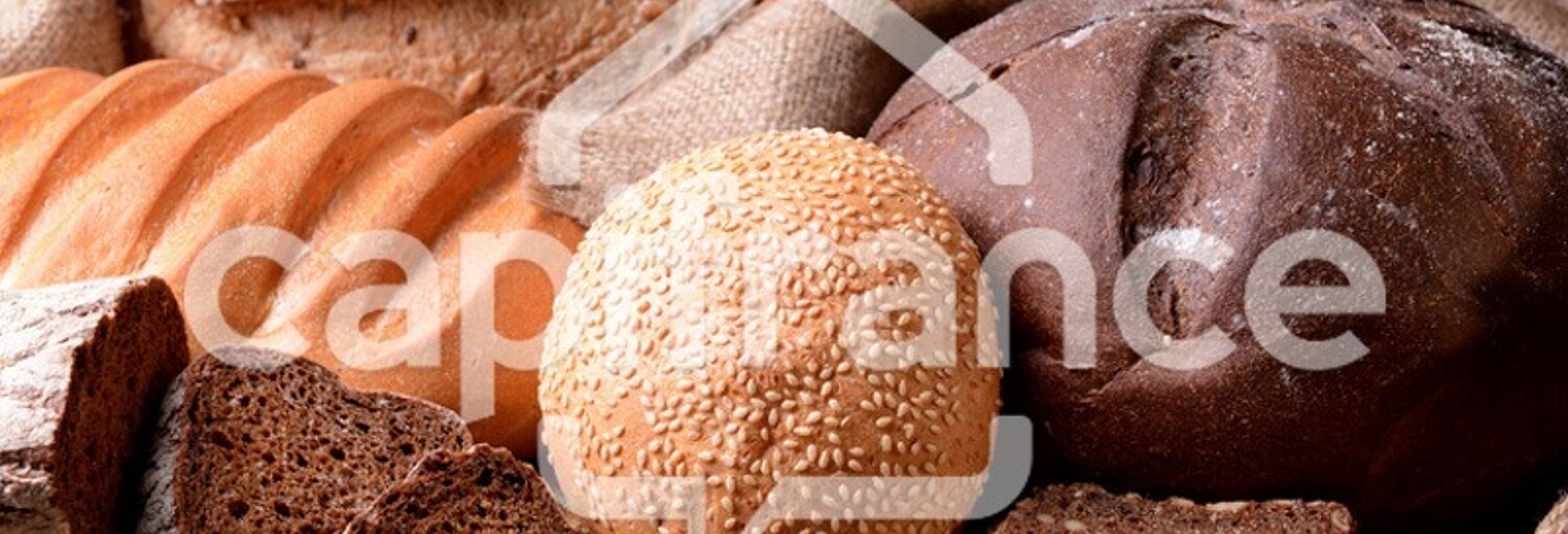 Commerce 1 Pièce 215 m² à vendre à Saint-Gilles (30800)