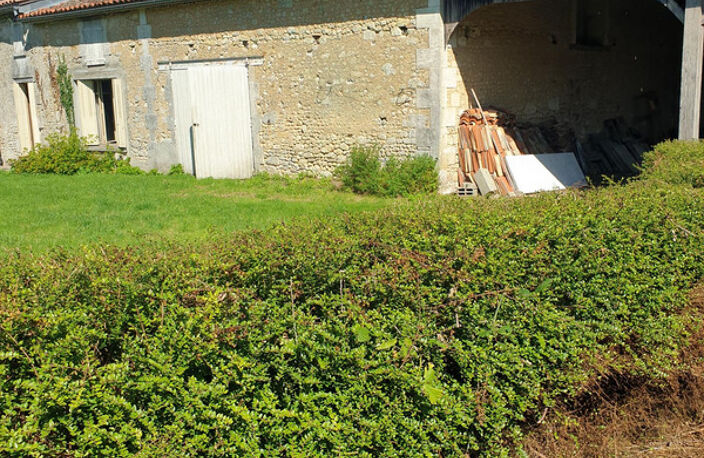 Maison et dépendances proche de BAIGNES SAINTE RADEGONDE (16) — photo 3