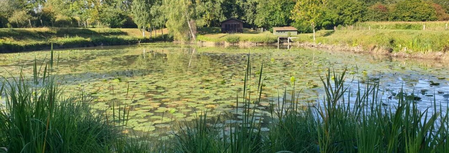 Maison  6626 m² à vendre à Wandignies-Hamage (59870)