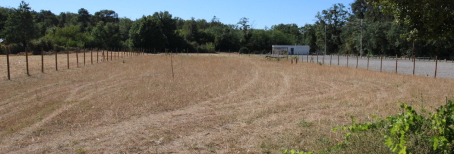 Terrain  3601 m² à vendre à Châtellerault (86100)