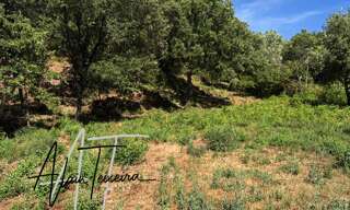 Terrain  930 m² à vendre à Taradeau (83460)