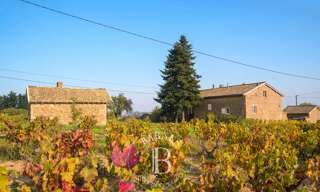 Maison 6 Pièces 127 m² à vendre à Villié-Morgon (69910)