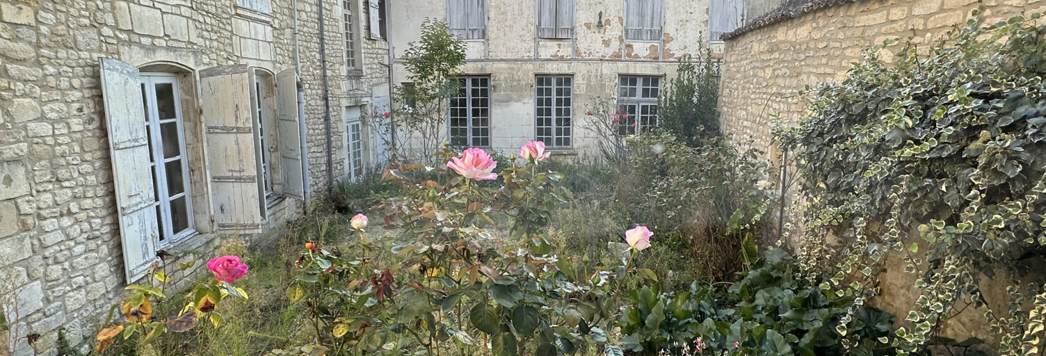 Maison 22 Pièces 438 m² à vendre à Saint-Jean-d'Angély (17400)