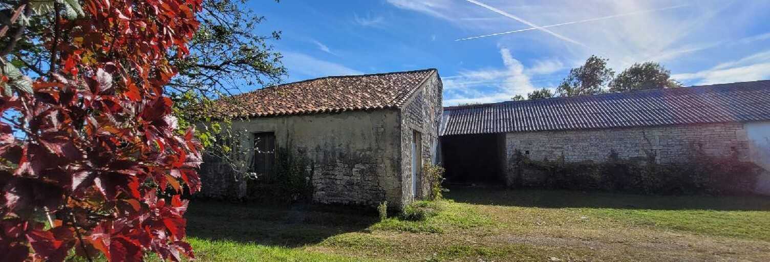 Maison 8 Pièces 350 m² à vendre à Néré (17510)