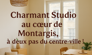 Appartement 1 Pièce 21 m² à vendre à Montargis (45200)