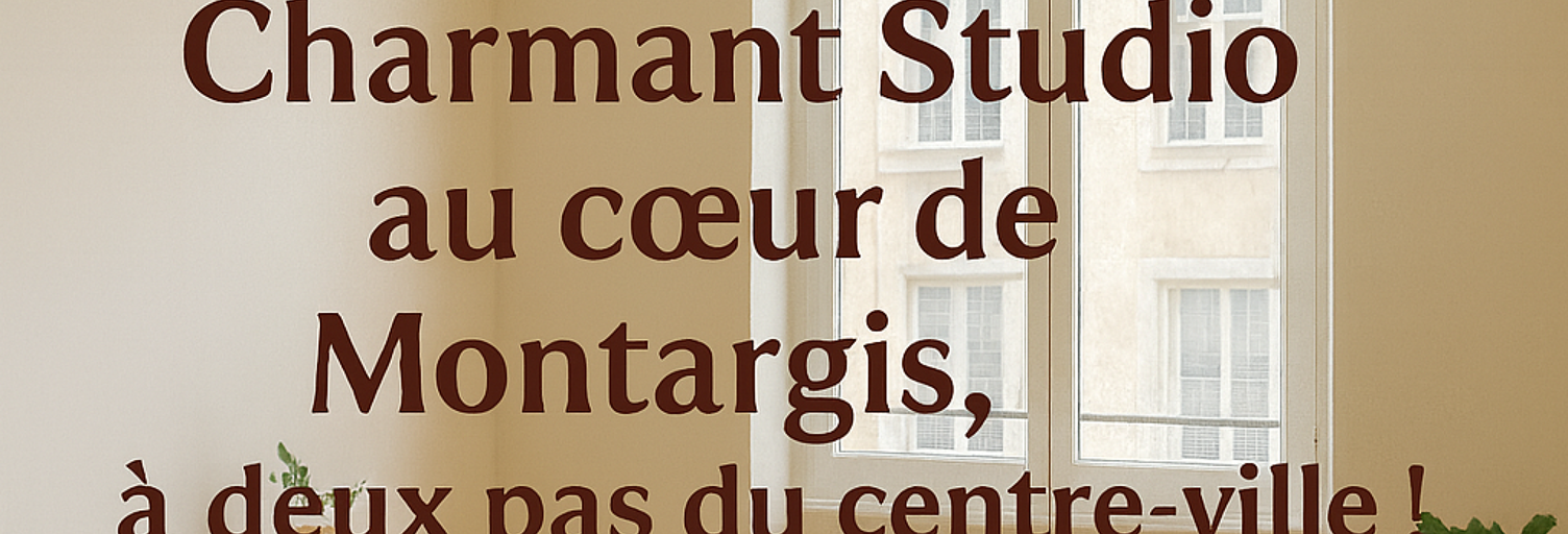 Appartement 1 Pièce 21 m² à vendre à Montargis (45200)