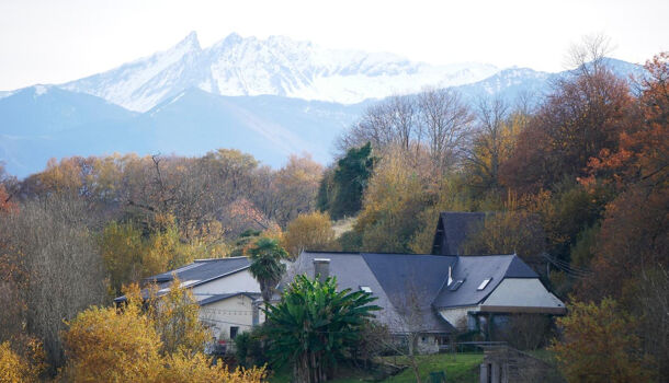 Villa / Maison 12 pièces  à vendre Narcastet 64510