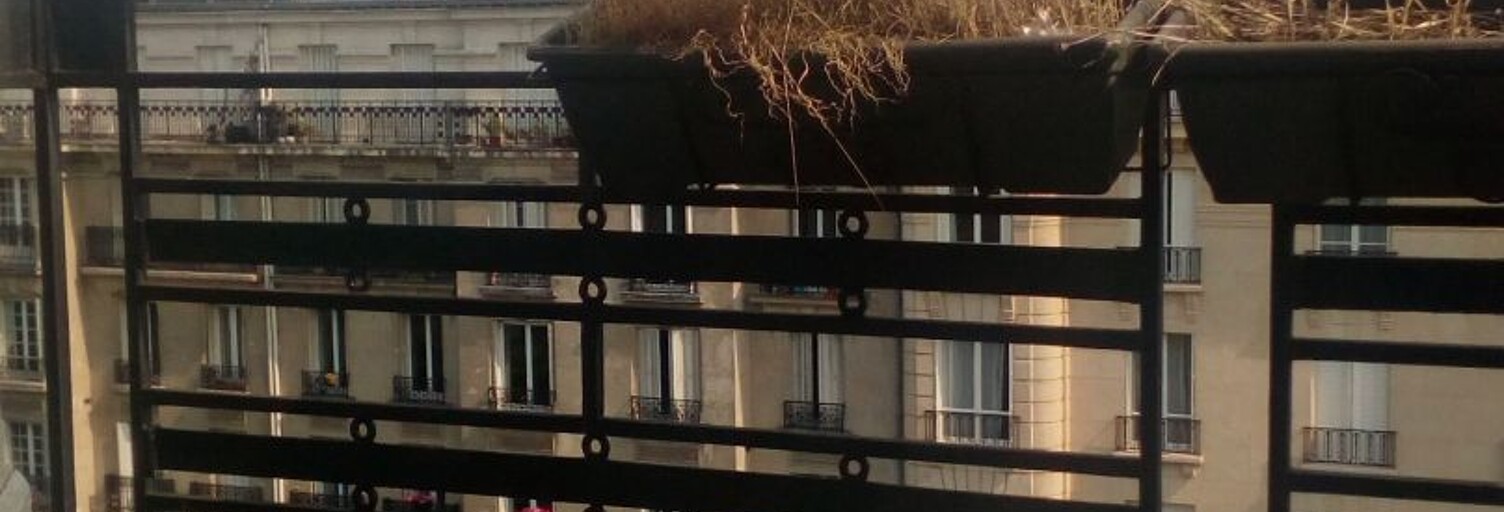 Appartement 1 Pièce 20 m² à louer à Paris 5 (75005)