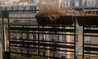 Appartement 1 Pièce 20 m² à louer à Paris 5 (75005)