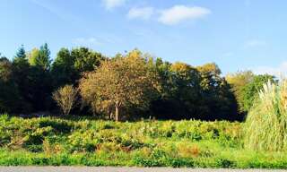 Terrain  740 m² à vendre à Chauvigné (35490)