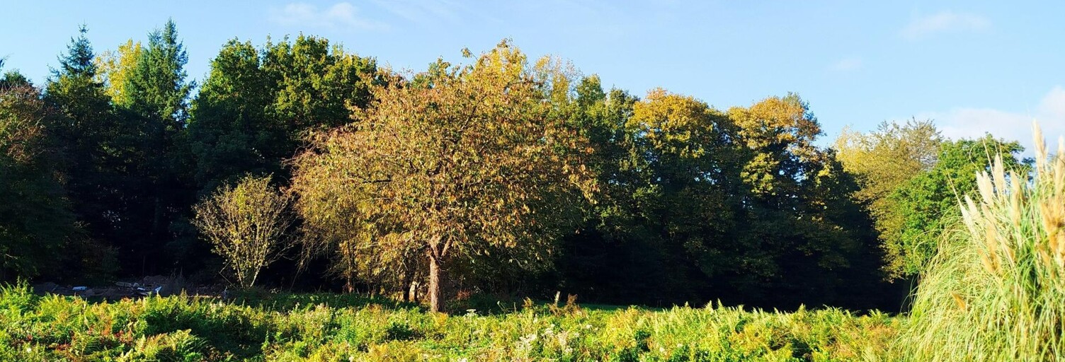 Terrain  740 m² à vendre à Chauvigné (35490)