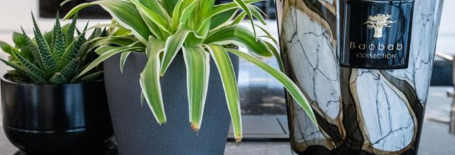 Maison 6 Pièces 240 m² à vendre à Marly (57155)