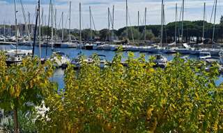 Maison 4 Pièces 66 m² à vendre à Agde (34300)