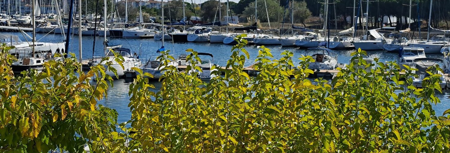 Maison 4 Pièces 66 m² à vendre à Agde (34300)