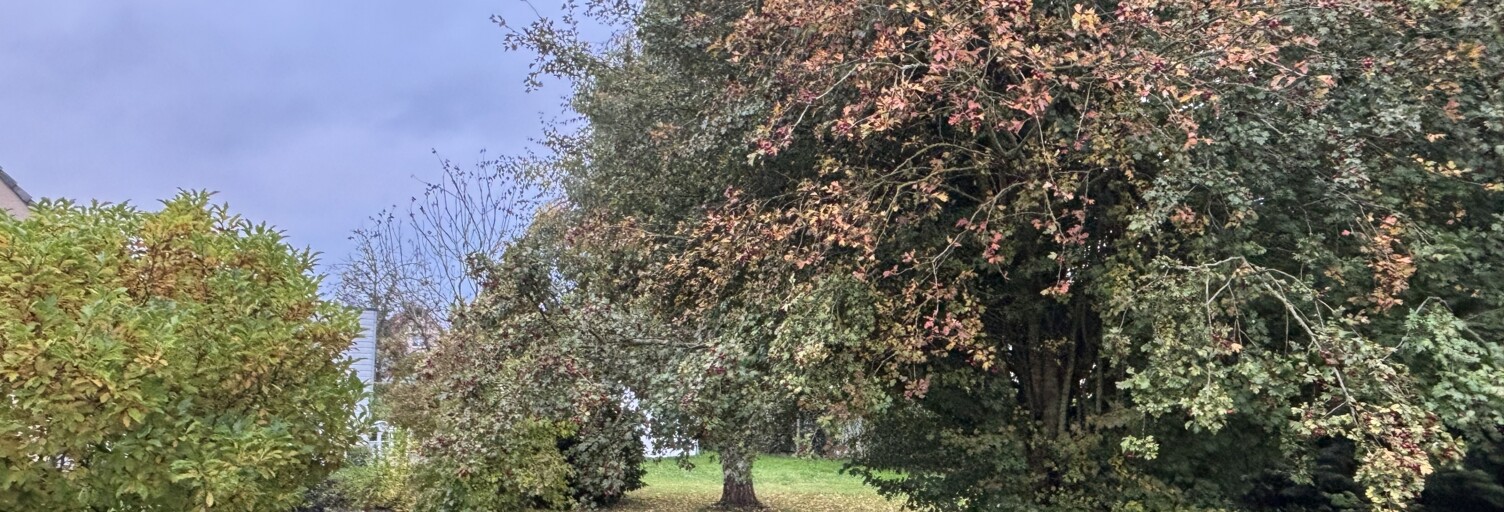 Maison 5 Pièces 120 m² à vendre à Dampierre-Saint-Nicolas (76510)