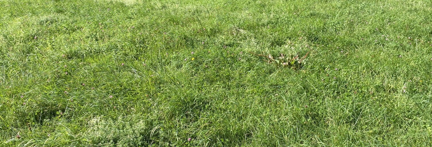 Terrain  1308 m² à vendre à Gère-Bélesten (64260)