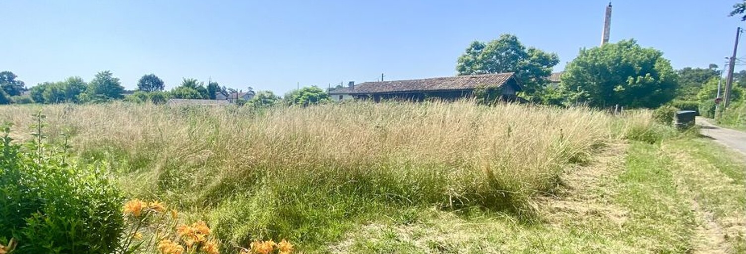 Terrain  3100 m² à vendre à Saint-Michel-de-Castelnau (33840)