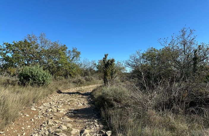 Terrain non constructible — photo 4