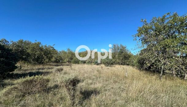 Terrain  à vendre Ruoms 07120