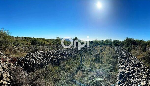 Terrain  à vendre Ruoms 07120