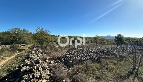 Terrain  à vendre Ruoms 07120