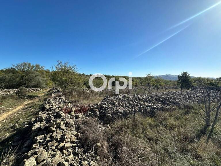 Terrain non constructible — photo 1