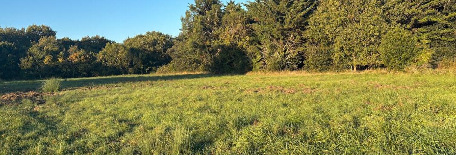 Terrain  1226 m² à vendre à Dolus-d'Oléron (17550)