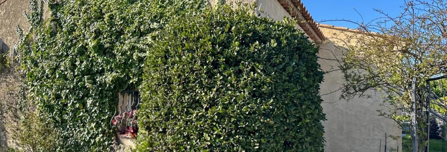 Maison 101 m² en viager Pélissanne (13330)