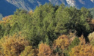 Maison 4 Pièces 132 m² à vendre à Savoillan (84390)