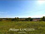 TERRAIN DE 3189 M2 A DIEULIVOL DPT 33 PROCHE DURAS DPT 47 — photo 4