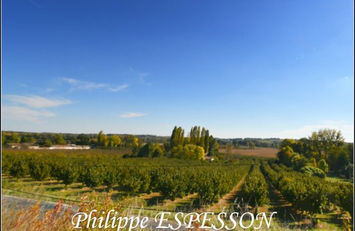 TERRAIN DE 3189 M2 A DIEULIVOL DPT 33 PROCHE DURAS DPT 47 — photo 5