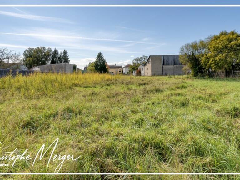 Terrain constructible à vendre 3 031 m² à Dieuze (57), non viabilisé, proche centre ville — photo 1