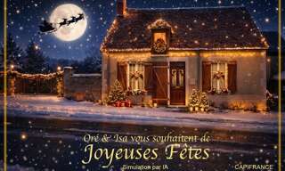 Maison 3 Pièces 87 m² à vendre à Châteaumeillant (18370)