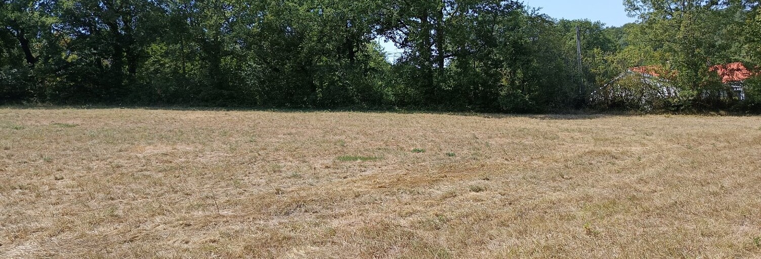 Terrain  1268 m² à vendre à Saïx (81710)