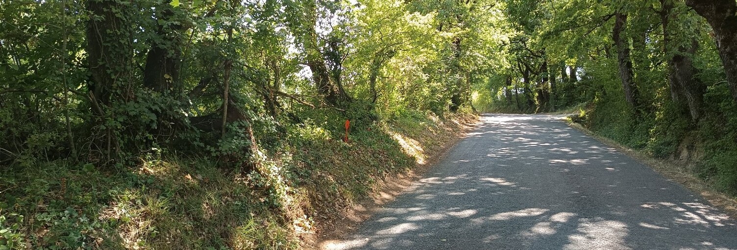 Terrain  1582 m² à vendre à Saïx (81710)