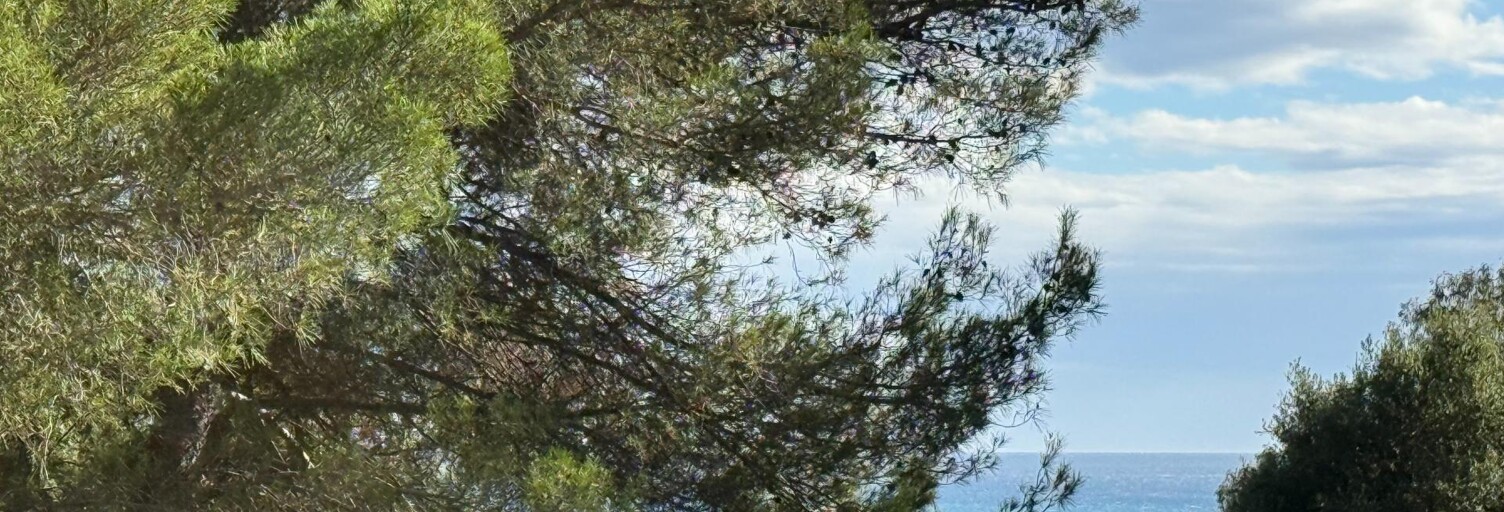 Appartement 3 Pièces 63 m² à vendre à Saint-Laurent-du-Var (06700)