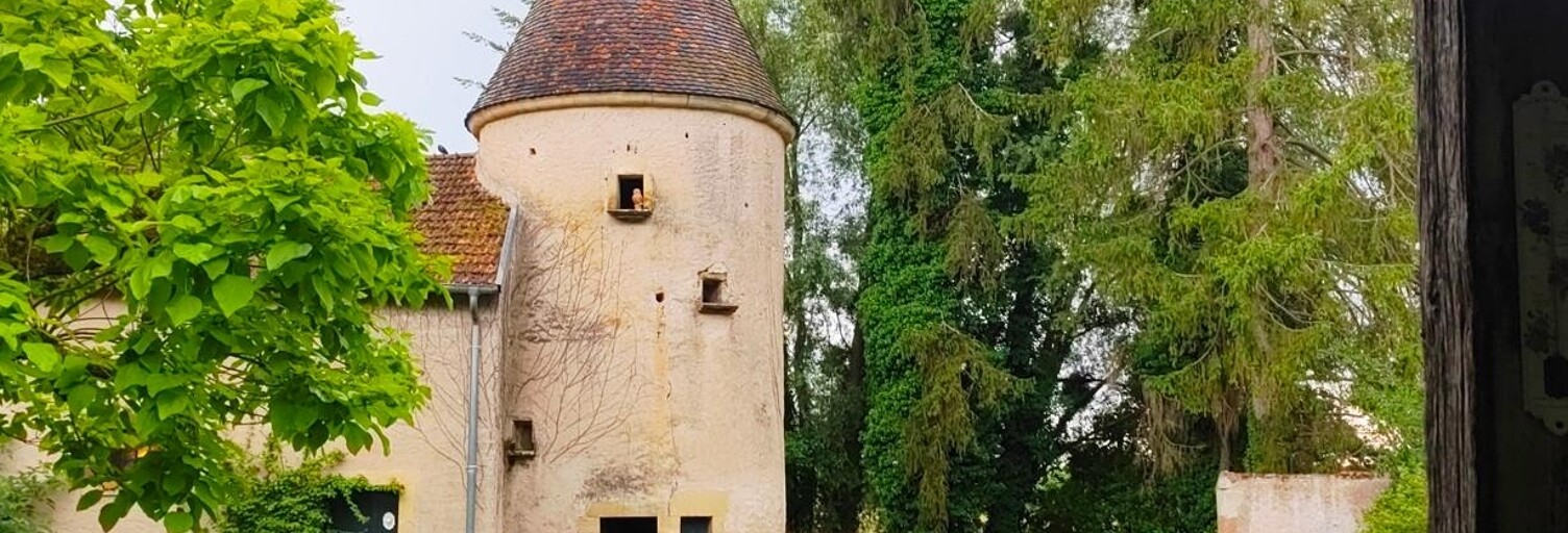 Maison 8 Pièces 295 m² à vendre à Faverney (70160)