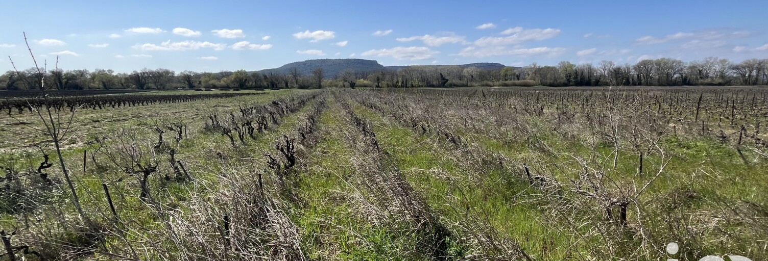 Terrain  3232 m² à vendre à Codolet (30200)