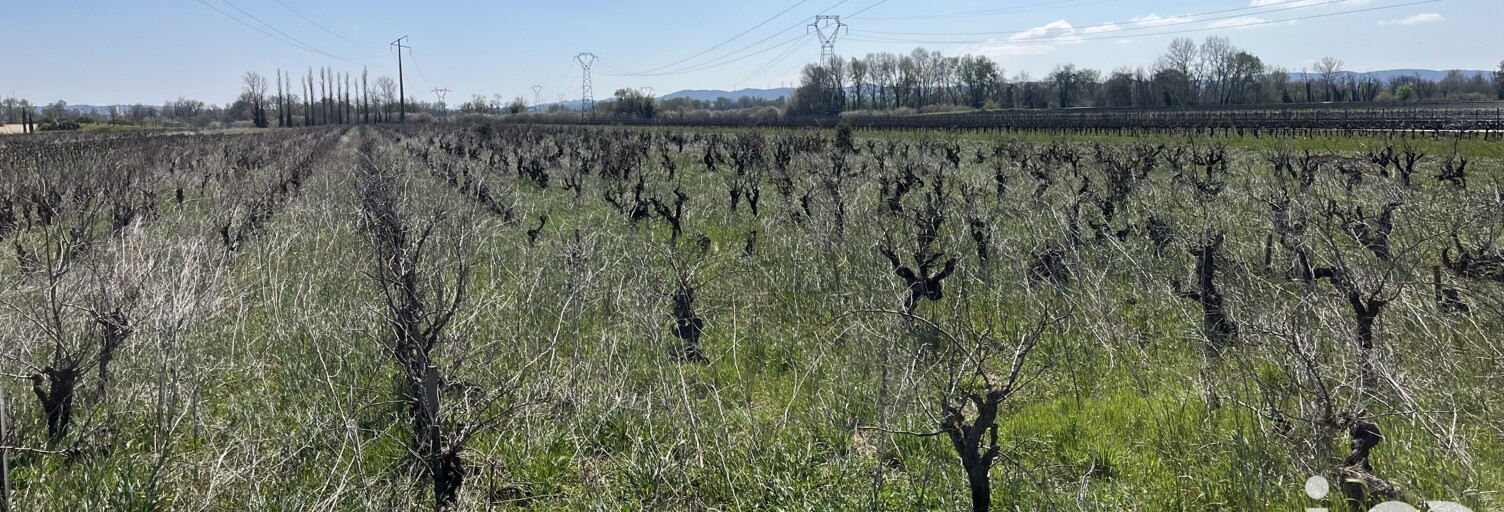 Terrain  2150 m² à vendre à Codolet (30200)