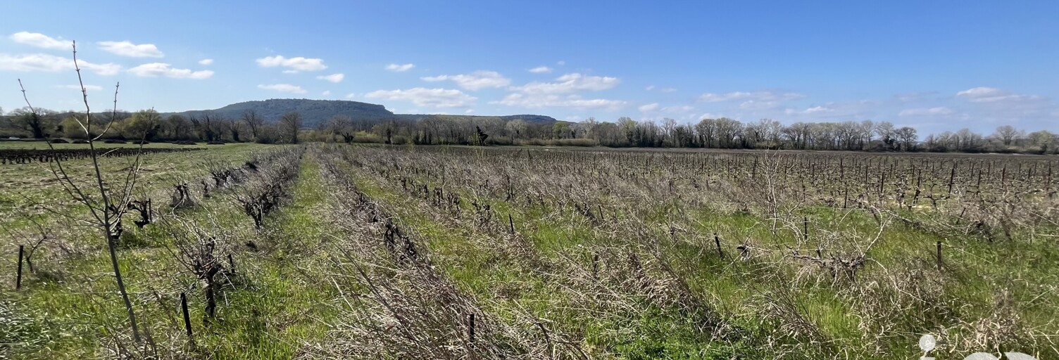 Terrain  2455 m² à vendre à Codolet (30200)