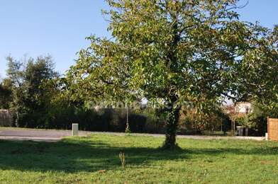 Terrain  71500 €