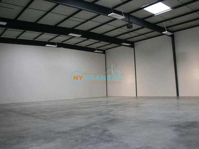 LIEUSAINT A LOUER Local d'activité 521m² — photo du bien