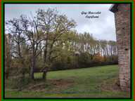 PROPRIETE A VENDRE FAITE D'UNE MAISON, D'UNE GRANGE, D'UN GRAND TERRAIN — photo 4