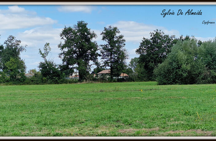 Terrain à vendre de 1 285,00 m² BAGE LA VILLE DOMMARTIN (01) — photo 3