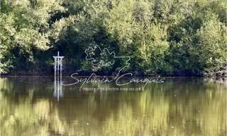 Commerce  52175 m² à vendre à Saint-Martin-d'Abbat (45110)