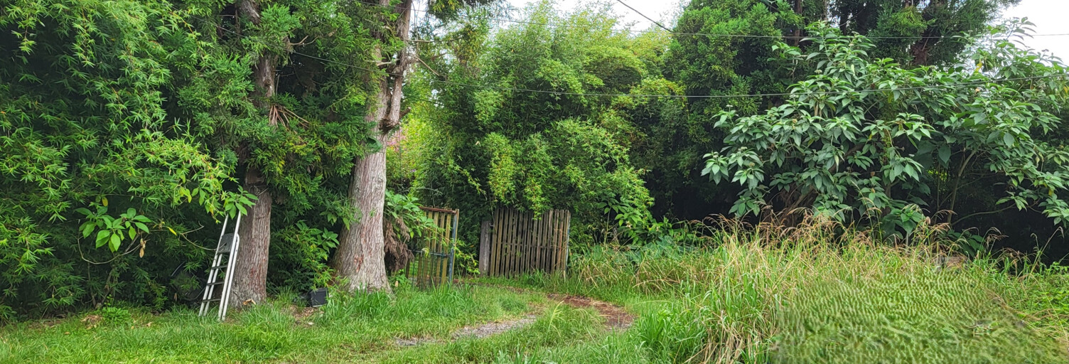 Terrain  1293 m² à vendre à La Plaine-des-Palmistes (97431)