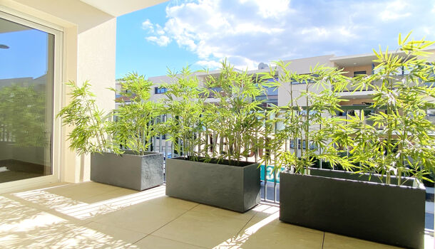 Appartement 3 pièces  à vendre Argelès-sur-Mer 66700