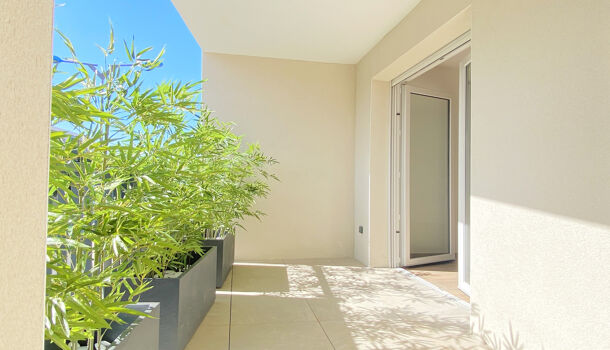 Appartement 3 pièces  à vendre Argelès-sur-Mer 66700