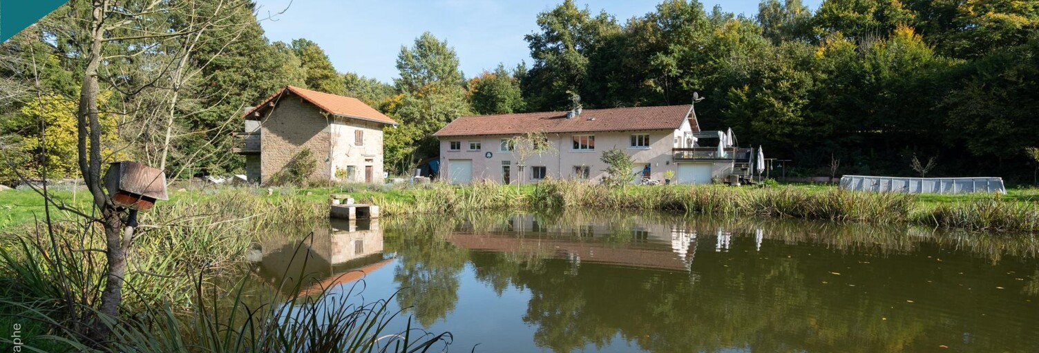 Maison 7 Pièces 201 m² à vendre à Épinal (88000)