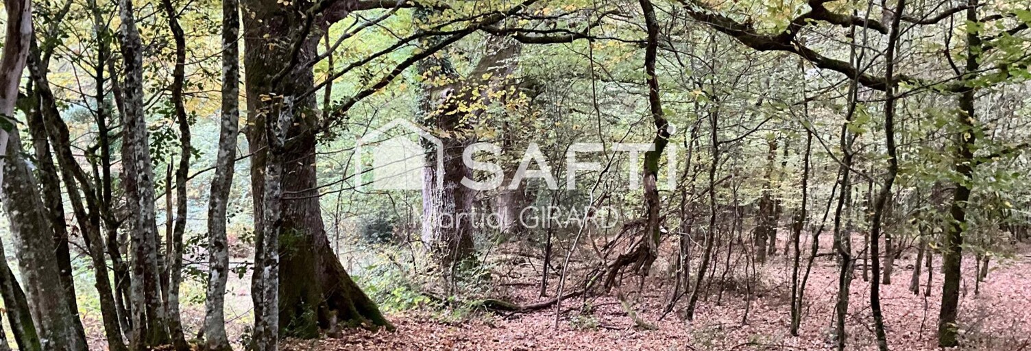 Terrain  23520 m² à vendre à Vouzeron (18330)